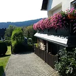 Luge -