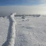 Lejlighed Luge -