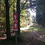 Luge - Lejlighed