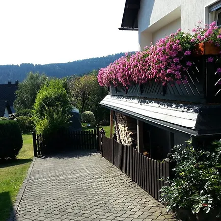 Luge -