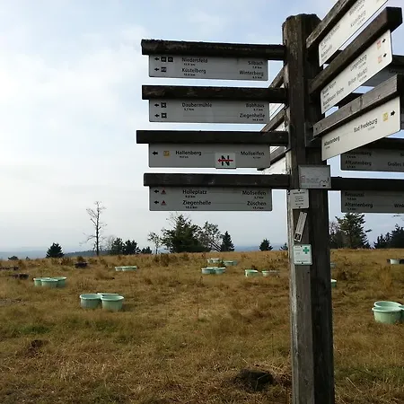 Luge - Winterberg