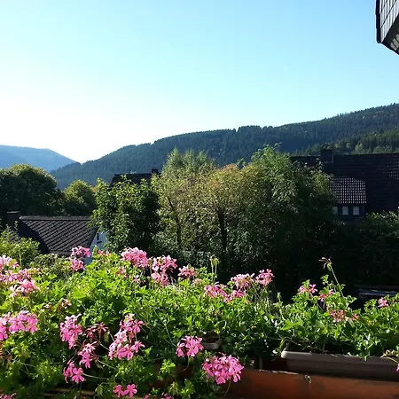 Appartement Luge - Winterberg