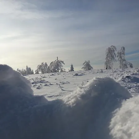 Luge - Winterberg