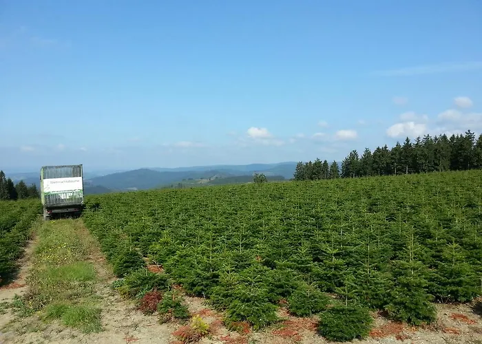 Lejlighed Luge - Winterberg