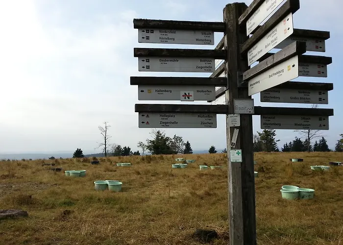 Luge - وينتربرغ